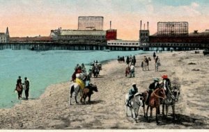 Postcard NJ Atlantic City - Ponies on the Beach near Million Dollar Pier