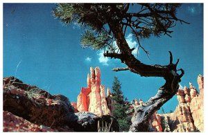 Lot 12 Scenic Bryce Canyon National Park Postcards