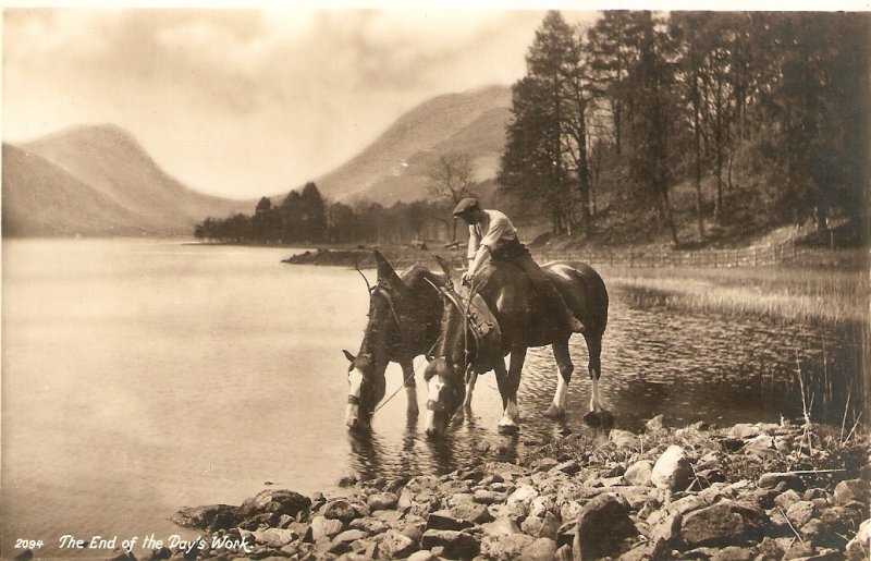 The end of the Day's Work. Horses Nice old vintage English postcvard