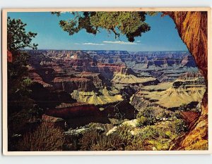 Postcard Grand Canyon National Park, Arizona