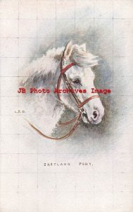 Signed L.E.D, Alpha Publishing No 3208, White Shetland Pony