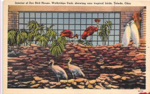 Toledo Ohio 1939 Postcard Interior of Zoo Bird House Walbridge Park 