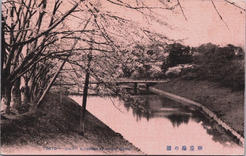 Japan Tokyo Cherry Blossoms Benkei Bridge Vintage Postcard C135
