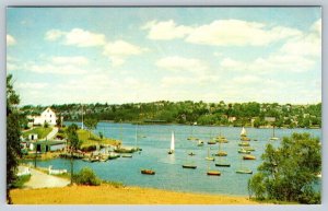 Sailboats, Armdale Yacht Club, Halifax Nova Scotia, Vintage 1966 Chrome Postcard