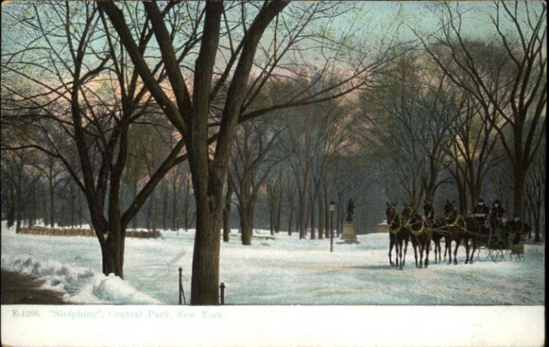 Central Park NY Sleighing Horses c1910 Old Postcard