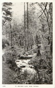 Cornwall Postcard - St Nectan's Glen - Near Tintagel - Real Photo - Ref TZ4332