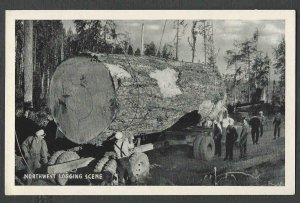 Ca 1939 PPC* REAL PHOTO PACIFIC N W LOGGING CAMP SHOWS W/LARGE TREE MINT