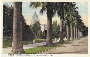 Avenue of Palms State Capitol Grounds Sacramento California