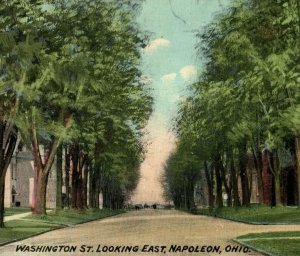 Circa 1900-10 Washington St. Looking East, Napoleon, Ohio Vintage Postcard P5
