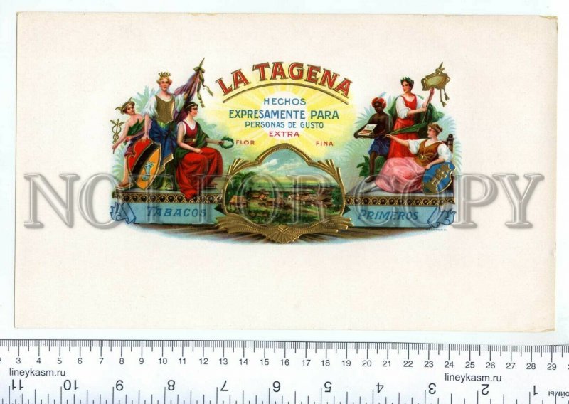 500075 LA TAGENA Vintage embossed cigar box large label