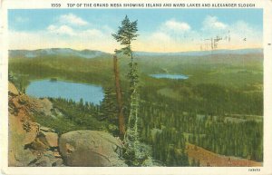 Grand Mesa, Colorado, Wards Lake, Island, Alexander Slough 1940 Postmark