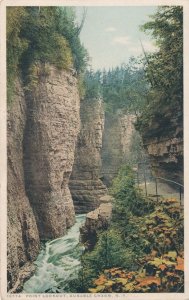 Ausable Chasm NY Adirondacks, New York - Point Lookout - DB - Detroit Publishing