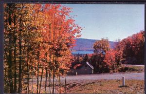 Autumn View From Highway,Adirondack Mountains,NY