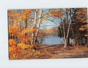 M-127857 A pretty sapphire lake in a golden setting Fife Lake Michigan