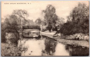 Scene Around Woodbridge New Jersey NJ Lake Attractions Postcard