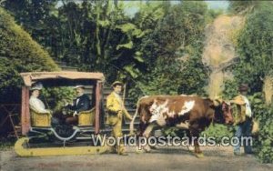 Carro de Bois, Madeira Portugal Portuguese Unused 