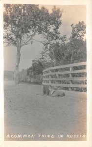 RPPC A COMMON THING IN RUSSIA CHILD SLEEPING ON GROUND REAL PHOTO POSTCARD