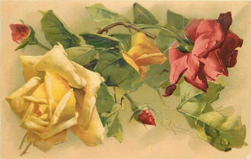 Klein Floral Roses 1907 Artist impression Postcard 21-9450