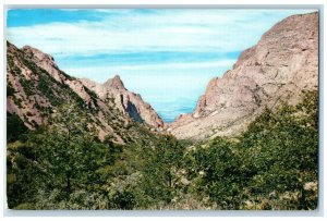 1989 Window Chisos Mountain Burro Mesa Big Bend National Park Texas TX Postcard 