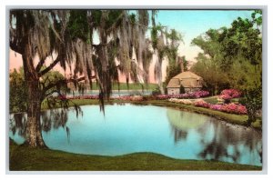 Middleton Place Garden Pond Summerville SC UNP Handcolor Albertype Postcard U21