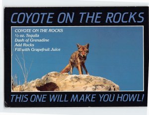 Postcard Coyote & Coyote on the Rocks Texas Drink Recipe