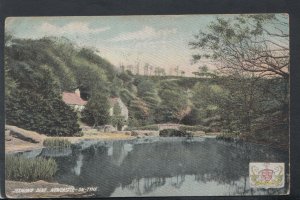 Northumberland Postcard - Jesmond Dene, Newcastle-On-Tyne    RS18150