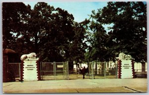 Vtg Tennessee TN Entrance Memphis Zoological Gardens Overton Park Zoo Postcard