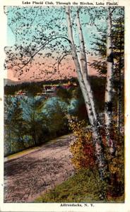 New York Adirondacks Lake Placid Club Through The Birches 1924