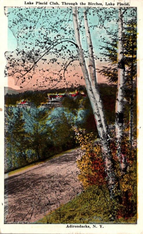 New York Adirondacks Lake Placid Club Through The Birches 1924