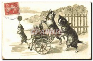 Old Postcard Fantasy Illustrator Cat cats