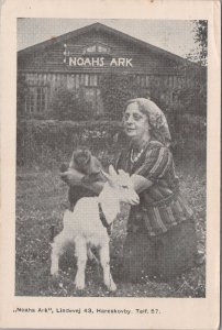 Denmark Postcard -Animals,Noahs Ark,Hareskovby,Copenhagen. Posted 1954 - RS35959
