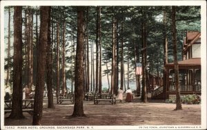 Sacandaga Park New York NY Pines Hotel Grounds Detroit Pub c1910 Postcard