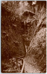 c1940s Shanklin Chine, Isle of Wight, England RPPC Scenic Ravine Real Photo A132