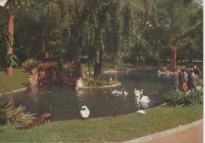 Postal E06777: Oviedo. Campo de San Francisco. El Estanque