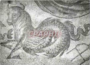 CPM Autun Musee Rolin Dragon Mosaique Romaine 