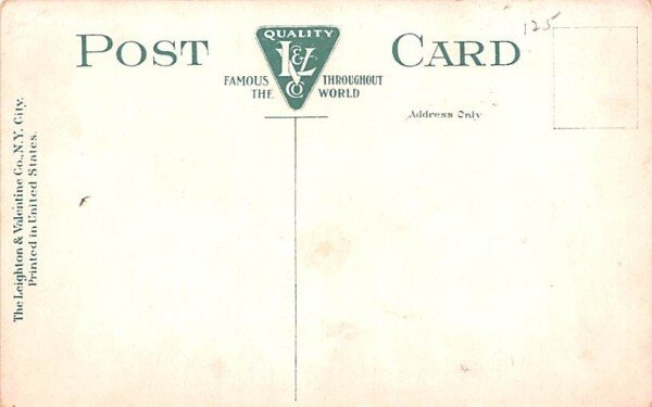 State Hospital Middletown, New York Postcard