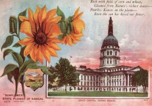 Vintage Postcard 1910's Sunflower State Flower of Kansas State Capital Topeka KS