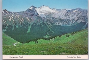 Snowmass Peak From Buckskin Pass, Colorado, Chrome Postcard