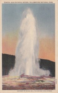 Old Faithful Geyser Yellowstone National Park 1948 Curteich