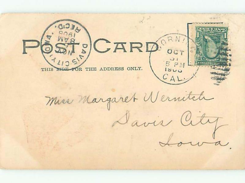 Pre-Linen Comic HUMANIZED RICH PIG SMOKING A CIGAR AB8389