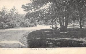 Bridgeport Connecticut~Beadsley Park Scene~Man Sitting on Bench by Driveway~1905