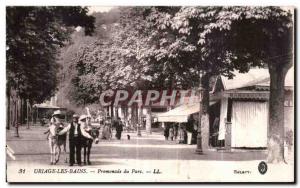 Old Postcard Uriage Les Bains Promenade Park Donkey Donkey