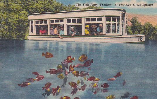 Florida Silver Springs The Fish Play Football At Floridas Silver Springs 1954...