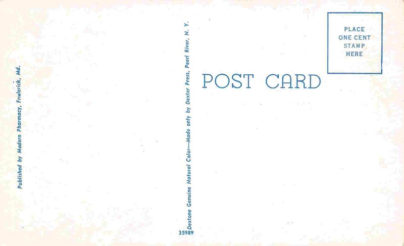 Alumnae Hall Hood College Frederick Maryland 1950s postcard