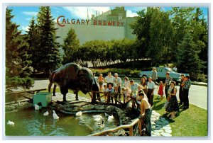 c1950's Calgary Brewery Gardens Calgary Alberta Canada Vintage Postcard