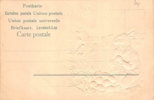 Easter Greetings Humanized Rabbit Eggs Hunter Dog embossed postcard C316