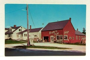 Searsport Maine ME Bayberry Shop Antiques Gifts Postcard 