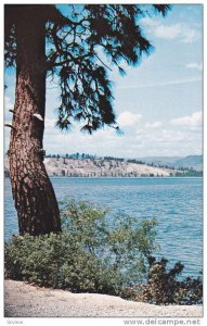 Distant Clay Cliffs, Okanagan Lake, B.C., Canada, 40-60s