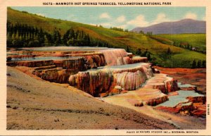 Yellowstone National Park Mammoth Hot Springs Terraces Curteich