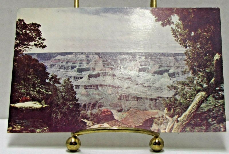 South Rim Grand Canyon Arizona Vintage Postcard  